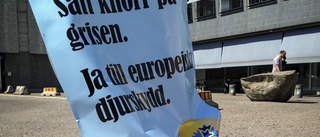 Håll tillbaka högerkrafterna genom att rösta i EU valet