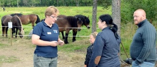 Föreningen nordsvenska hästen höll hov i Boden