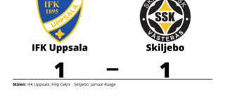 IFK Uppsala i ledning i halvtid - men tappade segern mot Skiljebo