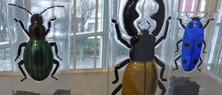 Insekter av glas och akvareller