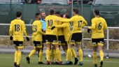 Hemgårdarna tar emot Vimmerby – se matchen i division 3 här