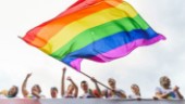 "Hbtq-frågorna kan drivas bara regeringen får tummen ur"
