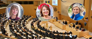 Lotta Johnsson Fornarve tar strid för talmansstolen: "Vi blev fjärde största parti" ✓De tar också plats i riksdagen