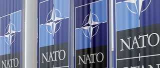 Ungern lovar stöd om Nato