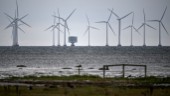 Bedrövligt att se lobbyismen för vindkraft