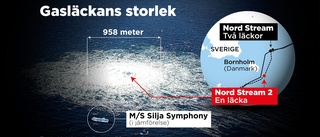 Ökade hot mot Norden efter Östersjösabotage