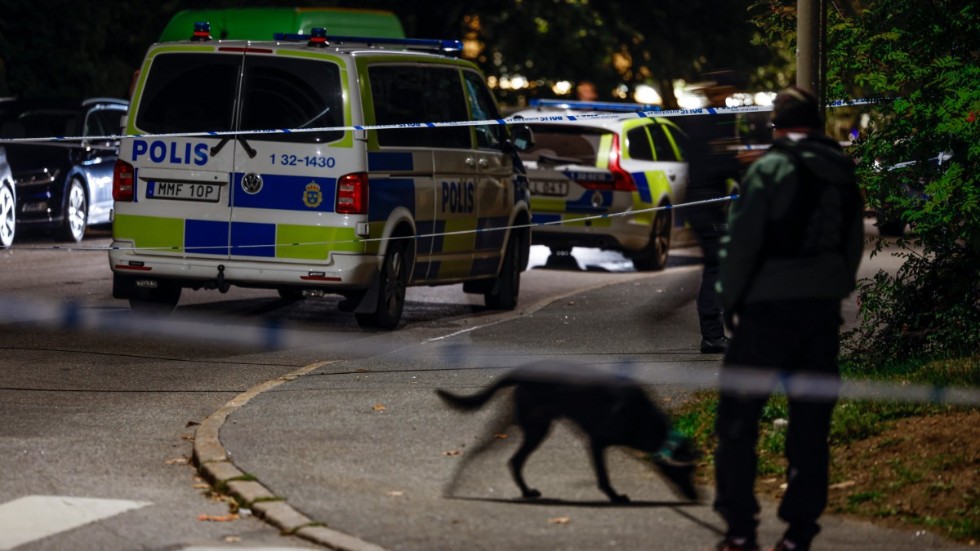 Polisen söker efter gärningsmannen med hundar och helikopter.