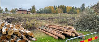 Får bygga hyreshus i Bureå – trots att det borde vara en offentlig lokal på tomten