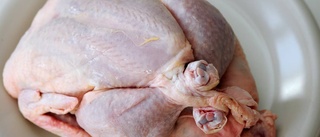 Kyckling fortsätter göra svenskar sjuka