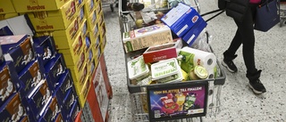 Experten: Räkna inte med sänkta matpriser