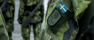 "Omvärldsläget är så att Sverige behöver fler soldater, inte färre"