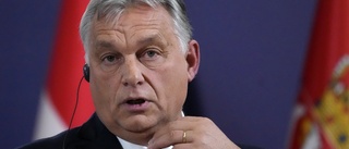 Ungern dröjer med Natobesked till nästa år