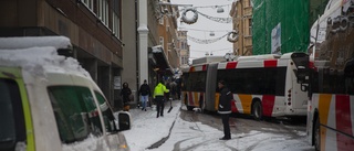 BILDEXTRA: Linköping färgades vitt i det kraftiga snöfallet • Busskaos på Storgatan • Vinterparadis i Trädgårdsföreningen