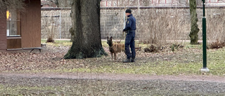 Grov misshandel vid Mikaelsgården • Polisen eftersökte gärningsperson – påträffades av allmänheten