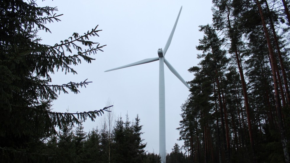Tanken är att de båda vindkraftverken som finns i Ryningsnäs i dag ska rivas och ersättas av en större vindkraftspark.