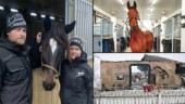 Sandras och Timmys stall brann ner till grunden – vägrar ge upp drömmen: Hästarna går före huset