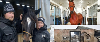 Sandras och Timmys stall brann ner till grunden – vägrar ge upp drömmen: Hästarna går före huset