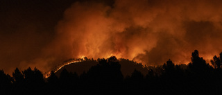 Skogsbrand i Spanien –Åtta orter evakuerade