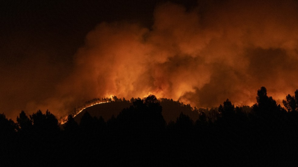 Skogsbranden nära Villanueva de Viver i Castellón i östra Spanien tidigt på fredagen.