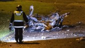 19-åring häktad efter bombdåd i Helsingborg