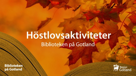 Höstlovsschack på Burgsviks bibliotek!