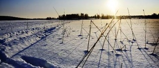 Vädret i dag: Sol på många håll