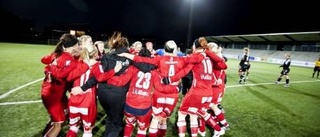 Hemma i allsvenskan