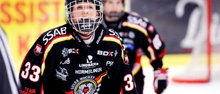 Vilken succéhelg för Luleå Hockeys stjärnor