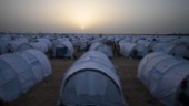 UNHCR uppmanar: Ta emot fler kvotflyktingar