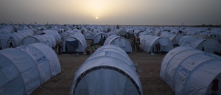 UNHCR uppmanar: Ta emot fler kvotflyktingar