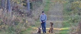 Denniz, 15, sprang undan förmodad varg i Laxne ✓Länsstyrelsen: "Vi dokumenterar löpande" ✓Forskare vill se fler vargar