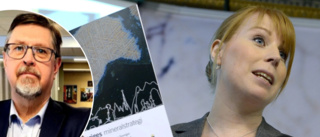 Krönika: Politiken måste återta makten – hög tid att stärka Sverige som gruvnation