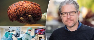 Jakten på skräddarsydd behandling mot aggressiva hjärntumörer leds från Uppsala • Så ska forskarna göra 