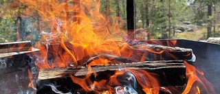 Läsarnas bilder om allt som händer på vår och försommar