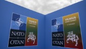 Principerna får inte svikas i Natoprocessen