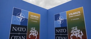 Principerna får inte svikas i Natoprocessen