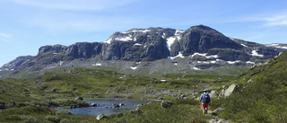 Svenskar insjuknade efter svampmåltid på fjället