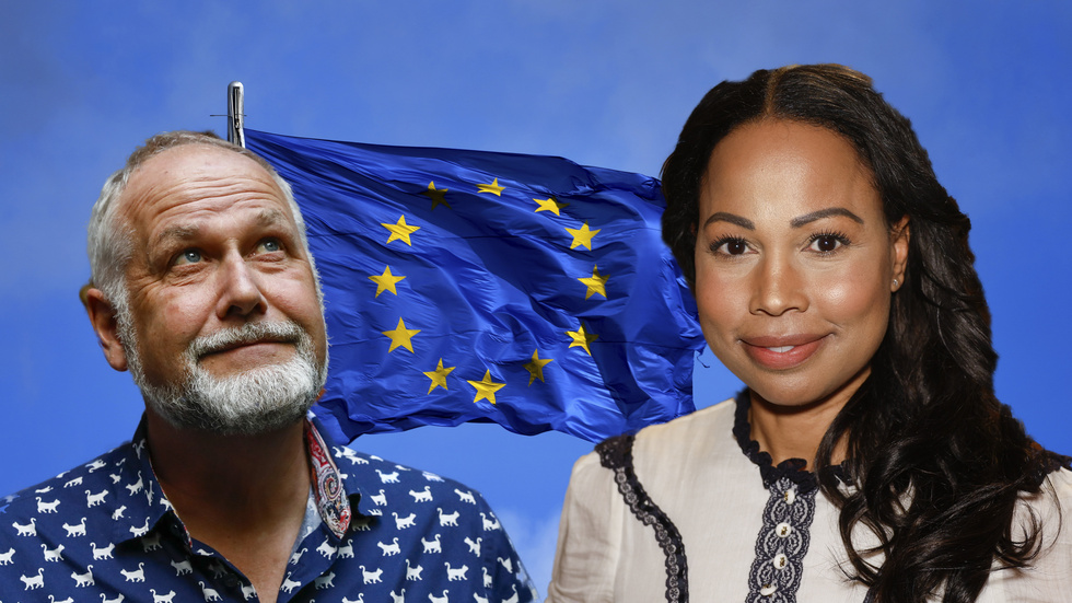 Jonas Sjöstedt (V) och Alice Bah Kuhnke (MP) är två personer som svenskar nu åter sänder till Bryssel. 