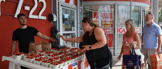 Här köar Enköpingsborna för att köpa sommarens "sista" jordgubbar