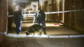 Hundpatruller, drönare och poliser rör sig i Hageby och Navestad