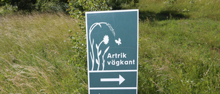 Tjafs om dammet i Visby        