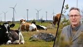 Gotland tog täten i vindkraftsligan – nu på väg mot botten