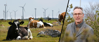 Gotland tog täten i vindkraftsligan – nu på väg mot botten