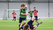 Unge Ibrahimović målskytt i blågult
