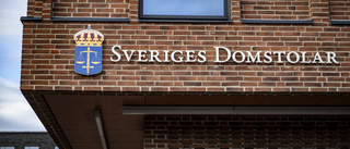 Överbelastningsattack mot Sveriges domstolar