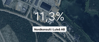Få i branschen var bättre än Nordkonsult i Luleå AB i fjol