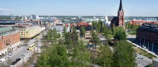 Näst varmaste maj sedan 1923 – så var temperaturen i Luleå