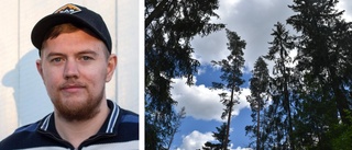 Här hittade Håvar, 27, rekordtall – letar efter höga träd