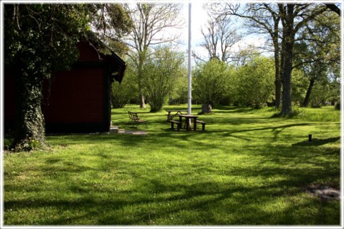 Fagning i Högbyäng pa Hemse