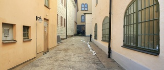 Linköpings äldsta gata renoveras